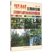 果树主要病虫害识别与防治彩色图谱编者:吕国强9787534976766