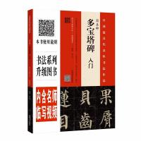 颜真卿多宝塔碑入门/中国*具代表*书法作品编者:翁志飞9787540143138