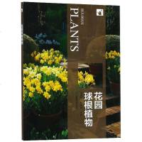花园球根植物编者:程东宇//杨春起|摄影:玛格丽特9787503898075