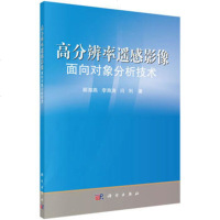 正版    高分辨率遥感影像面向对象分类技术 顾海燕,李海涛,闫利 97870305033