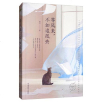 等风来不如追风去正能量自我实现提高自我心理学成功励志书籍文学经典现当代文学散