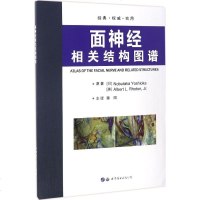 面神经相关结构图谱 正版书籍 (日)吉冈 (美)罗腾|译者:陈阳 世界图书出版公司