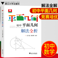 初中平面几何解法全析编者:沈文*//杨清桃9787308193719