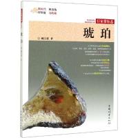 琥珀/行家带你*姚江波9787503899805