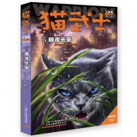 [正版全新直发]猫武士三部曲--暗夜长影⑤ 艾琳·亨特  少年儿童出版社 9787514849738