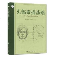    头部素描基础