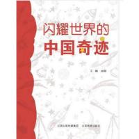 闪耀世界的中国奇迹王麟 编著 