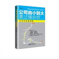 正版书籍公司由小到大要过哪些坎卢强宋新宇博士推荐解密创业企业成长经营3阶段10基因中小企业成长