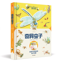 [正版全新直发]纸上景观:奇异虫子 [英]梅拉妮·希伯特  中信出版社 9787521703986