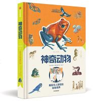 [正版全新直发]纸上景观:神奇动物 [英]莫伊拉·巴特菲尔德  中信出版社 978752170399