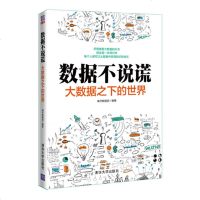 数据不说谎 大数据之下的世界城市数据团数据化分析技术教程书籍 数据营销 数据分析师手册互联网 数据化