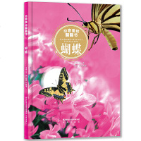 蝴蝶/书籍分类/童书/玩具书