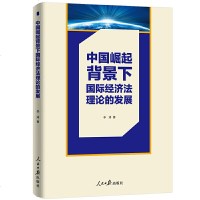 中国崛起背景下经济法理论的发展李涛著国际经济法理论研究教材外贸经济法律等专业学生参考书籍