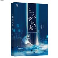 一念长风起吉祥夜 著 