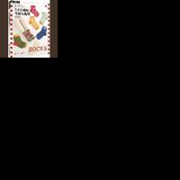    3天完成的毛线钩编袜