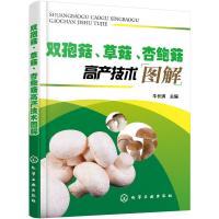 双孢菇草菇杏鲍菇高产技术图解