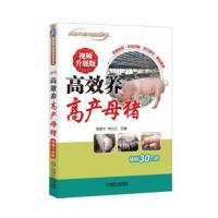 正版高效养高产母猪视频升级版李顺才视频教学高效养猪与猪病防治书籍现代实用养猪技术