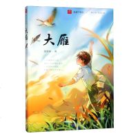 大雁:注音版 童书 书籍