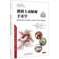 微创主动脉瓣手术学 王春生 陈保福主译 天津科技翻译出版有限公司 心外科 主动脉瓣 心脏外科手术 