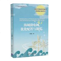    海域微电网优化配置与调度