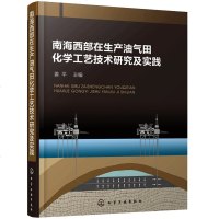   南海西部在生产油气田化学工艺技术研究及实践书籍