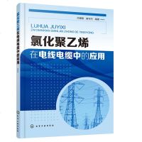 氯化聚乙烯在电线电缆中的应用9787122315052化学工业