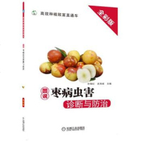 正版书籍图说枣病虫害诊断与防治孙瑞红2019大红枣树栽培种植技术大全书籍大红枣无公害枣树高效