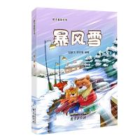暴风雪赵鹏飞,李吉奎 编著 