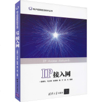 IP接入网/图书/电子与通信/通信