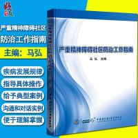 正版 严重精神障碍社区防治工作指南  严重精神障碍疾病的预防和康复 马弘 著 中华医学电子音像出版社