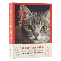 正版猫书:如何轻松拥猫入怀来自爱猫王国的猫书告诉你科学养猫的一切趣味科普关于科学养猫撸猫的知识