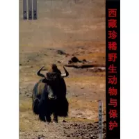 珍稀野生动物与保护