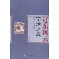 辽东风云-宁远之战政治/军事书籍