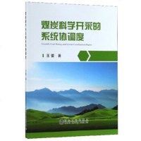 [正版全新直发]煤炭科学开采的系统协调度 王蕾  冶金工业出版社 9787502479732
