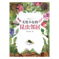 昆虫记(1)无处不在的昆虫邻居