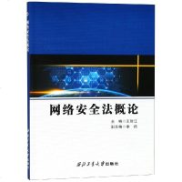 网络安全法概论/王智江王智江