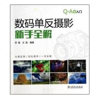 单反摄影新手全解