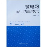 微电网运行仿真技术