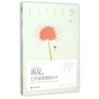 再见已不是我要的年少