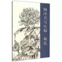 陶冷月写生稿菊花