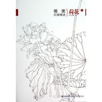 荷花2/唯描精选