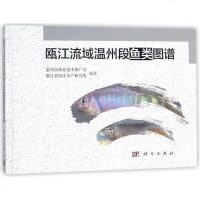 瓯江流域温州段鱼类图谱(精)y90