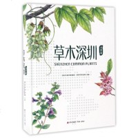 草木深圳(郊野篇)(精)y90