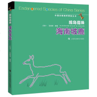 琼岛遗珠 海南坡鹿y90