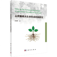 丛枝菌根生体形成机制研究y90