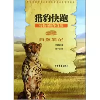 自然笔记·动物的悄悄话:猎豹快跑wq