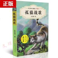 中外动物小说精品升级版 孤猫战歌 动物小说大王沈石溪著dj