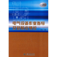 电气设备作业指导及危点预控wq