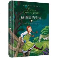 精装版简爱正版原著鲁滨逊漂流记汤姆索亚历记昆虫记名著课外书