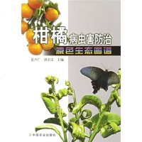 柑橘病虫害防治原色生态图谱9787109108561